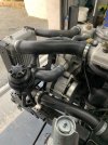 IMG_6085.jpeg