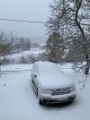 IMG_0706.jpeg