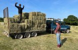 Hay making.jpg