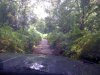 Devils punch bowl route -1.JPG