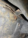 IMG_5148.JPEG