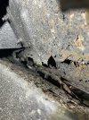 IMG_5150.JPEG