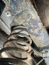 IMG_5153.JPEG