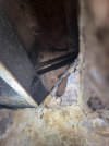 IMG_5156.JPEG