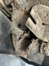 IMG_5160.JPEG