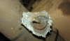 sensor with pipe still attached 2.jpg sensor with pipe still attached 2.jpg