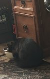 IMG_0398.jpeg