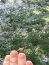 IMG_3424.jpeg