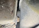 IMG_1914.jpeg