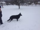 IMG_0085.jpeg