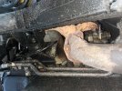 IMG_4498.jpeg