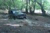 tn.jpg