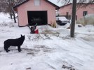 IMG_1998.jpeg