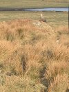 IMG_3119.jpeg