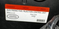 IMG_2986.jpeg