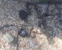 Remains.jpg
