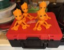 IMG_1697.jpeg