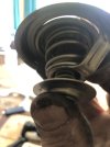 IMG_7894.jpeg