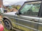 IMG_0344.jpeg