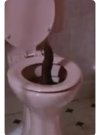 IMG_6679.jpeg
