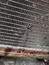 IMG_1690.jpeg