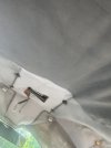 IMG_7361.jpeg