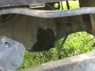 IMG_0941.jpeg
