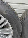 IMG_5305.jpeg