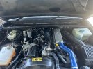 IMG_7240.jpeg