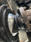 IMG_3540.jpeg