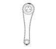 td5 timing chain.jpg