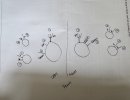 IMG_2250.jpeg