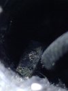 20250612_122947.jpg