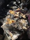 IMG_3187.jpeg