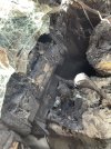 IMG_3189.jpeg