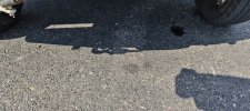 IMG_20250702_161735.jpg