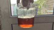 IMG_4998.jpeg