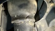 IMG_4241.jpeg
