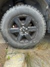IMG_1438.jpeg