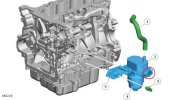 110 WSM coolant circled.jpg