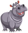 hippo.jpeg