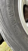 IMG_5256.jpeg