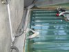 SDC12561.JPG
