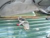 SDC12562.JPG