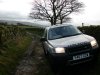 Greenlaning 006.JPG