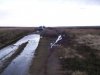 100_2405.jpg