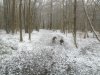 ImageUploadedByTapatalk1358168306.494273.jpg ImageUploadedByTapatalk1358168306.494273.jpg