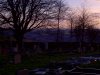 IMG-20130202-00093.jpg