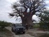 DSCF0918.jpg