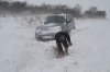 Snow00031.jpg